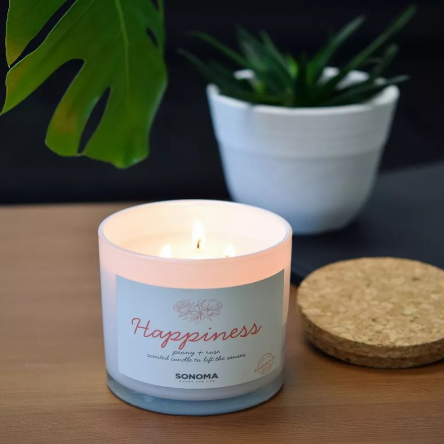 Candles * | Sonoma Goods For Life Spa Happiness 3-Wick Candle Jar