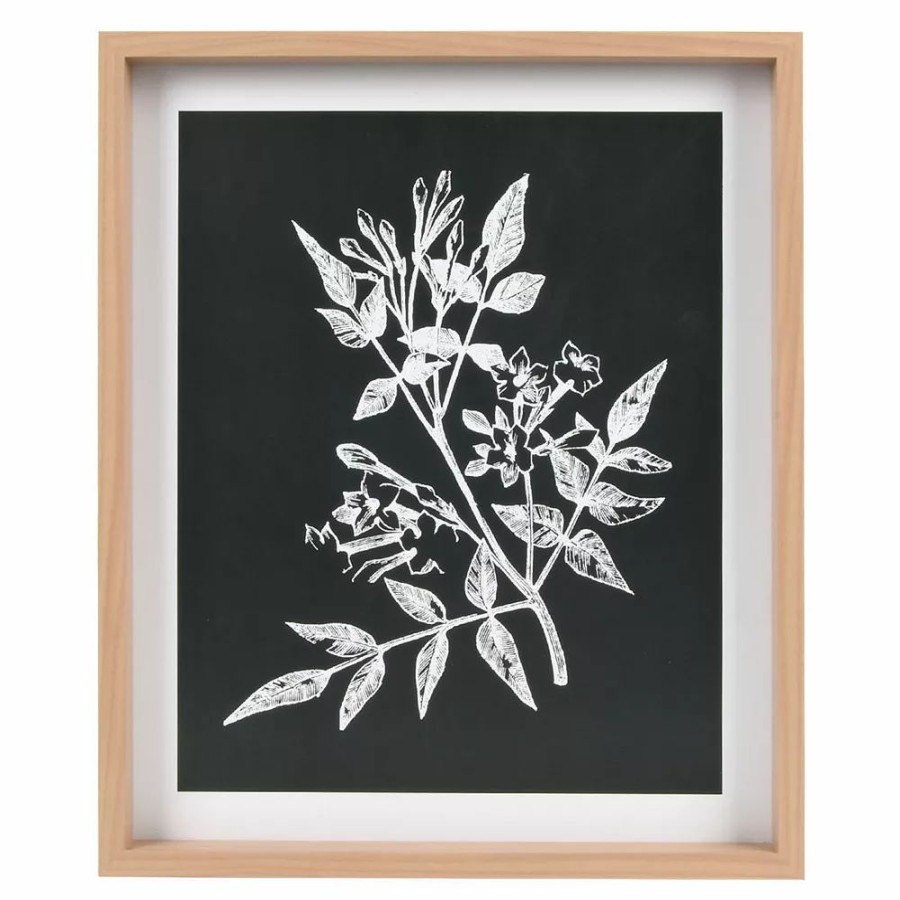 Wall Decor * | Sonoma Goods For Life Printed Wood Frame Reverse Botanical Wall Decor