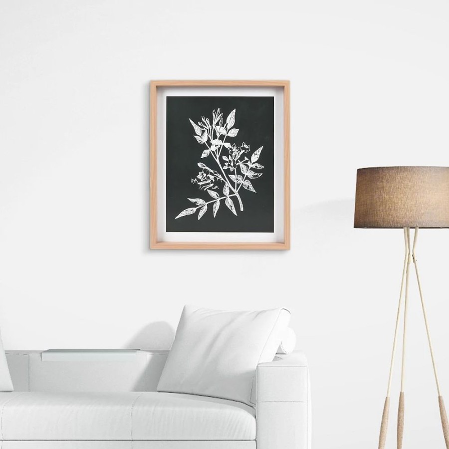 Wall Decor * | Sonoma Goods For Life Printed Wood Frame Reverse Botanical Wall Decor