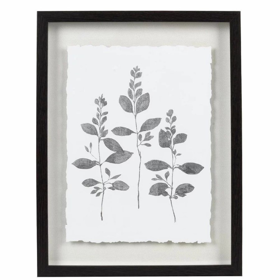 Wall Decor * | Sonoma Goods For Life Botanical Shadowbox Framed Wall Art